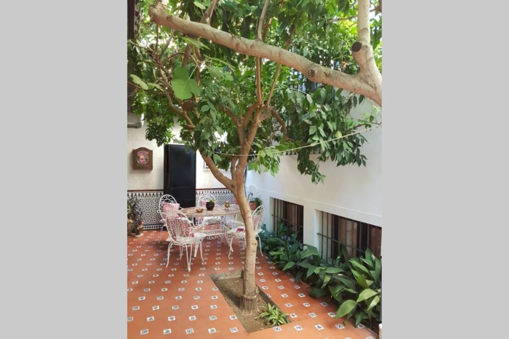 Casa En Granada Con Hermoso Jardin, Parking Calle Kültér fotó